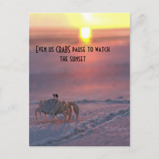 Crab tittar på solnedgången vykort