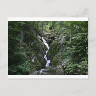 CRAB TRÄD FALL S VA VYKORT