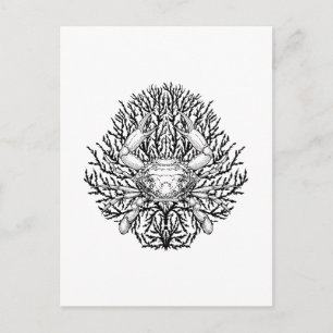 Crab Vykort