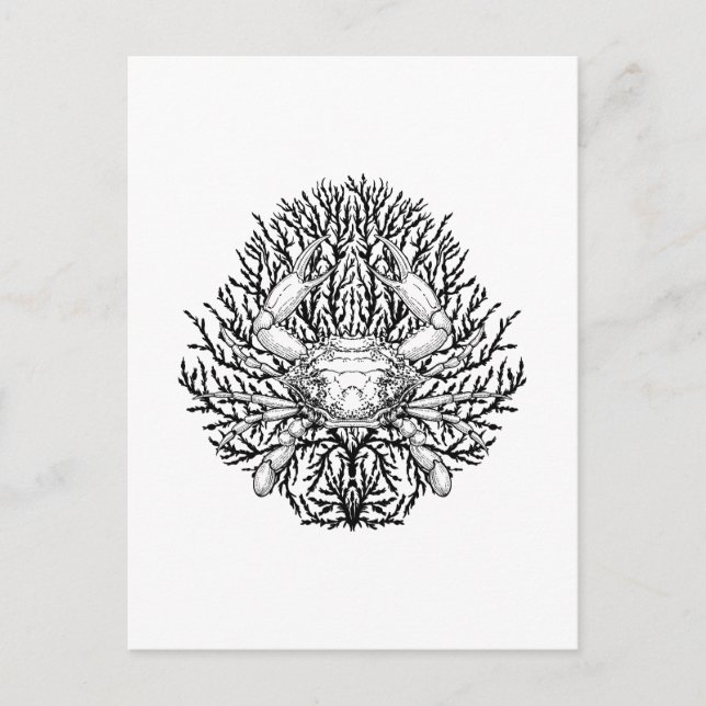 Crab Vykort (Framsida)