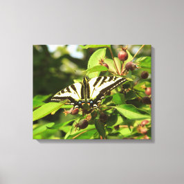 Crabappel och Butterfly Canvastryck