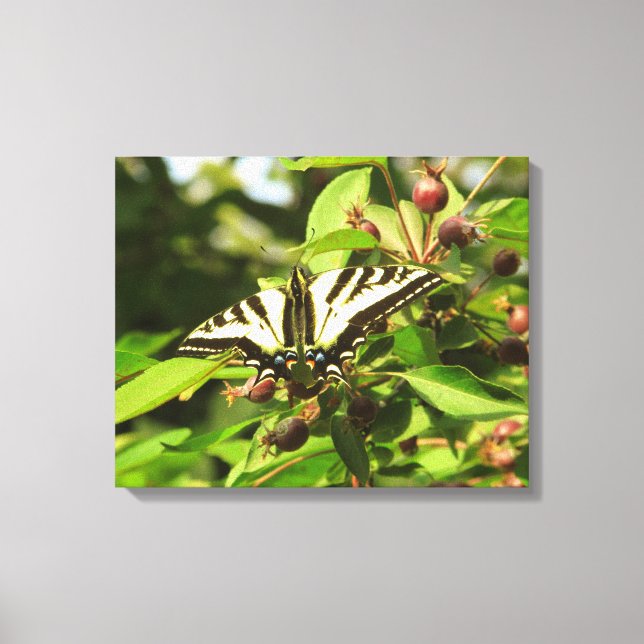 Crabappel och Butterfly Canvastryck (Framsida)
