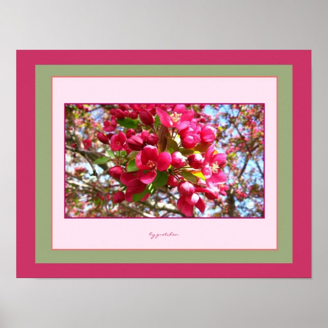 Crabapple Blommar 2 Foto Poster av gretchen (Framsidan)