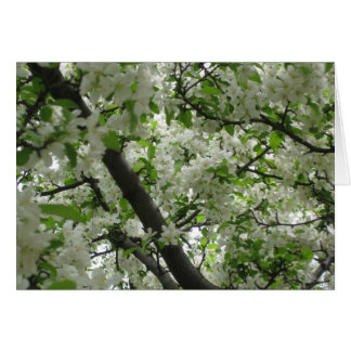 Crabapple-blommar Hälsningskort