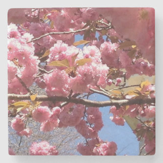 Crabapple-Blommar i Vår - Rosa och vit Gren Stenunderlägg