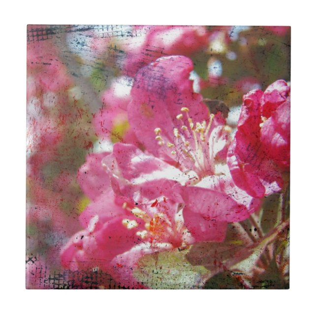 Crabapple-Blommar Kakelplatta (Framsidan)