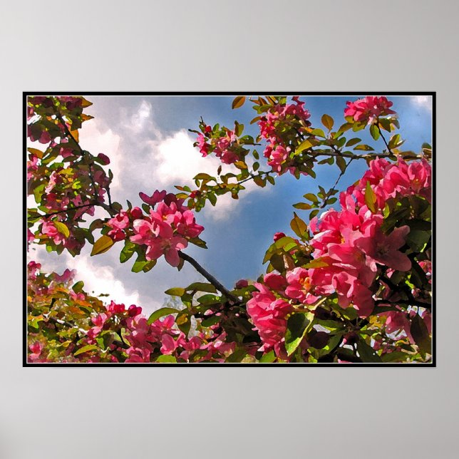 Crabapple-Blommar Poster (Framsidan)