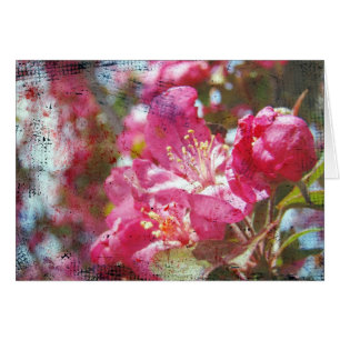 Crabapple Blommars Tillfällen Greeting Card Hälsningskort