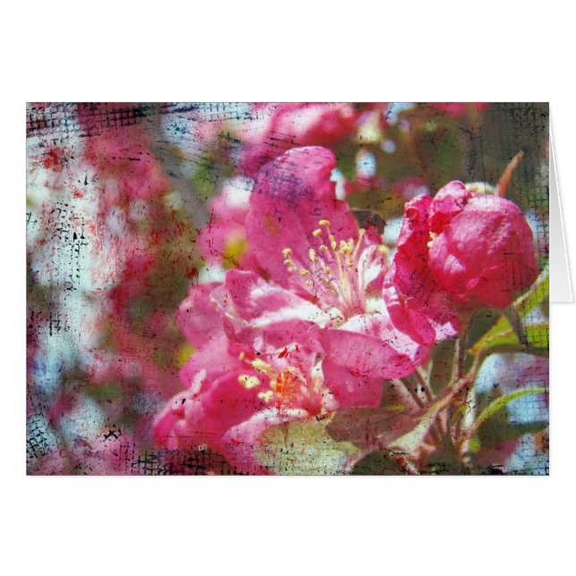 Crabapple Blommars Tillfällen Greeting Card Hälsningskort (Framsidan Horizontal)