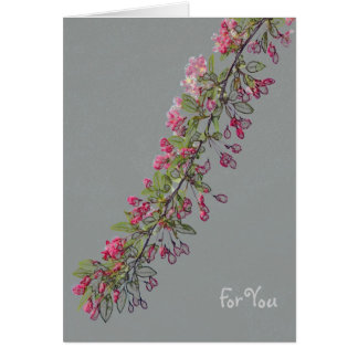 Crabapple blomstrar från Central Park OBS Kort