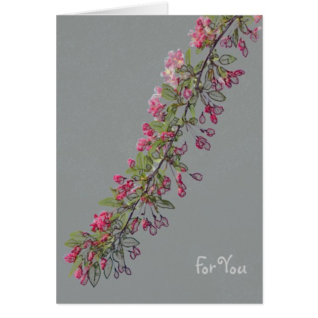 Crabapple blomstrar från Central Park OBS Kort (Framsidan)