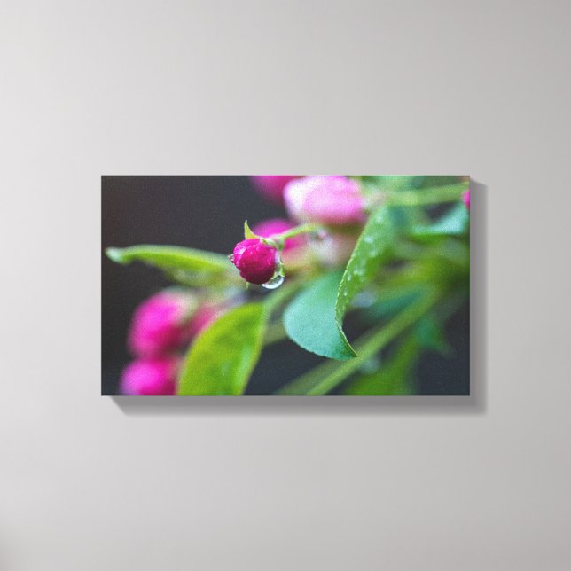 Crabapple Blossum Canvastryck (Framsida)