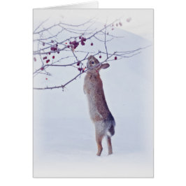 Crabapple Bunny - kanin Hälsningskort