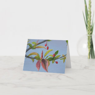 crabappleblommar kort