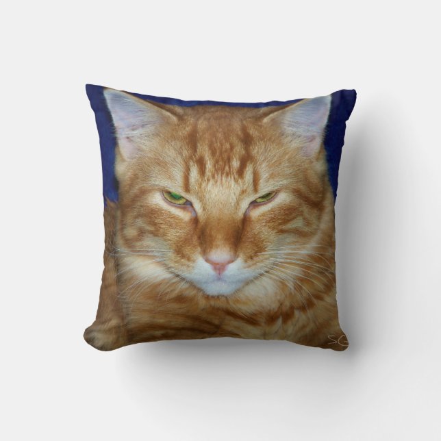 Crabby Cat - Orange Maine Coon Kuddinkastkudde Kudde (Framsida)