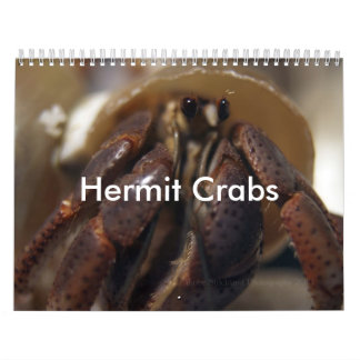 crabby eremitkrabbor kalender