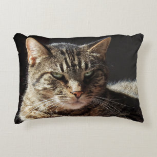 Crabby tabby katt prydnadskudde