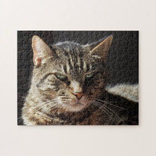 Crabby tabby katt pussel