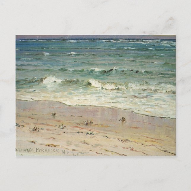 Crabs på Beach av D. Howard Hitchcock Vykort (Framsida)