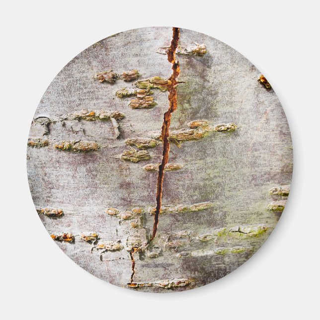 Cracks Birch Bark Magnet (Framsidan)