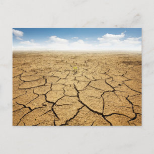 Cracks Desert Golv Vykort