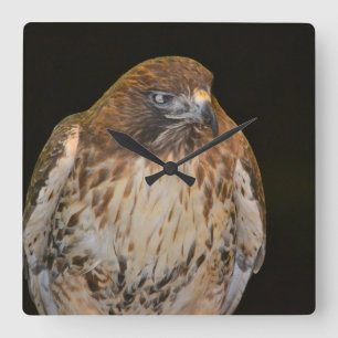Crafty Hawk Fyrkantig Klocka