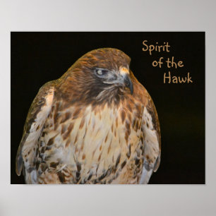 Crafty Hawk Poster