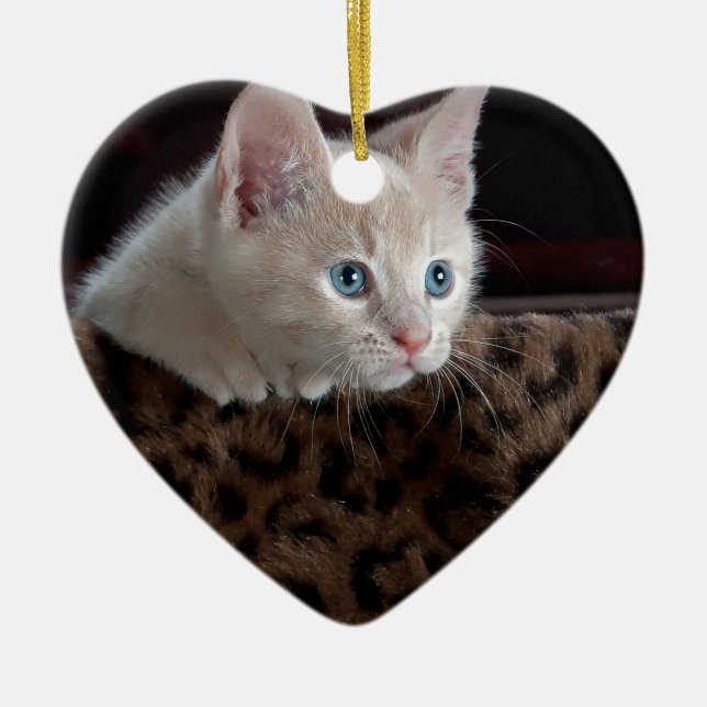 Crämkitten med vackra blå ögon julgransprydnad keramik (Framsidan)