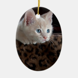 Crämkitten med vackra blå ögon julgransprydnad keramik