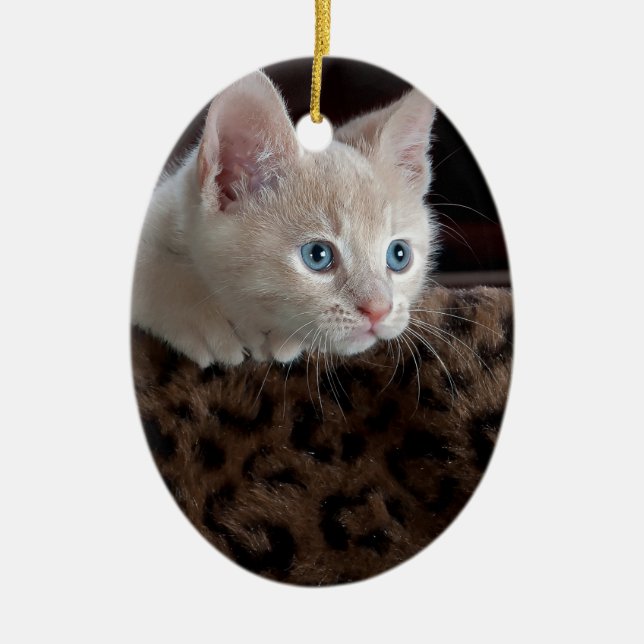 Crämkitten med vackra blå ögon julgransprydnad keramik (Framsidan)