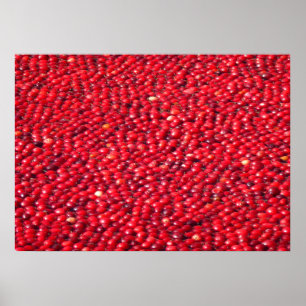 Cranbär Festive Red Poster