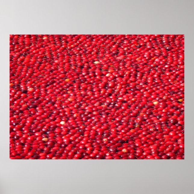 Cranbär Festive Red Poster (Framsidan)