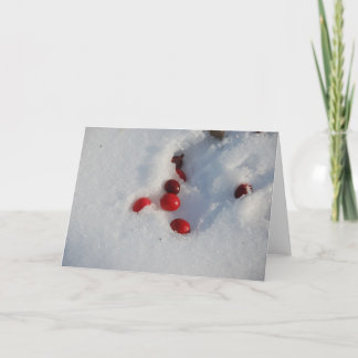 Cranberries i snön helgkort