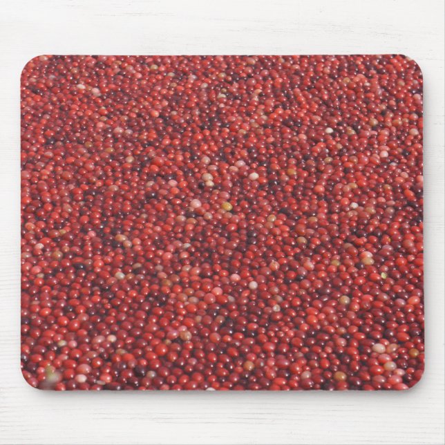 Cranberries Musmatta (Framsidan)