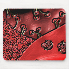 Cranberry Bazaar Musmatta