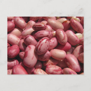 Cranberry Beans Vykort