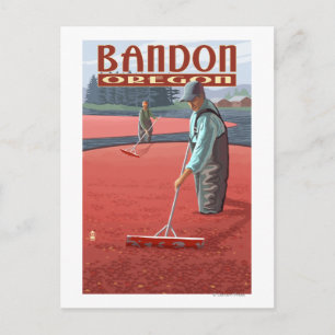 Cranberry Bogs Harvest - Bandon, Oregon Vykort