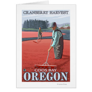 Cranberry Bogs Harvest - Coos Bay, Oregon Hälsningskort