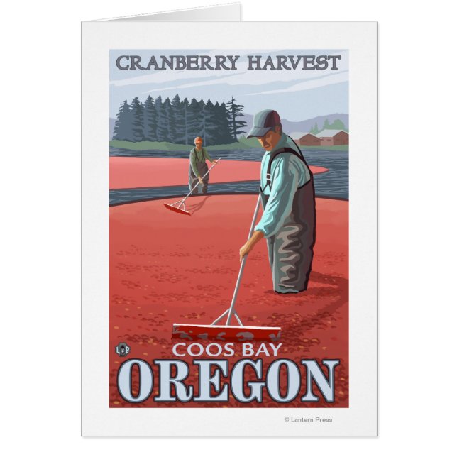 Cranberry Bogs Harvest - Coos Bay, Oregon Hälsningskort (Framsidan)