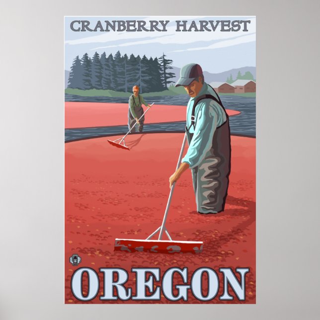 Cranberry Bogs Harvest Poster (Framsidan)