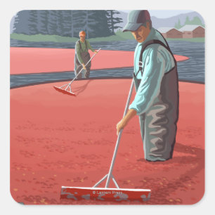 Cranberry Bogs Harvest Vintage resor Poster Fyrkantigt Klistermärke