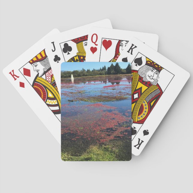 Cranberry Farm, Long Beach, Washington Casinokort (Baksidan)