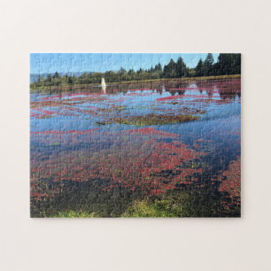 Cranberry Farm, Long Beach, Washington Pussel