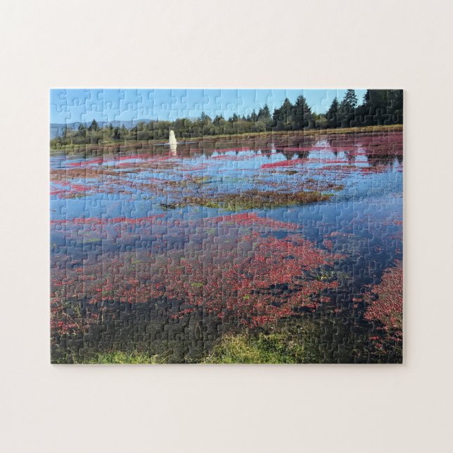 Cranberry Farm, Long Beach, Washington Pussel (Horisontell)