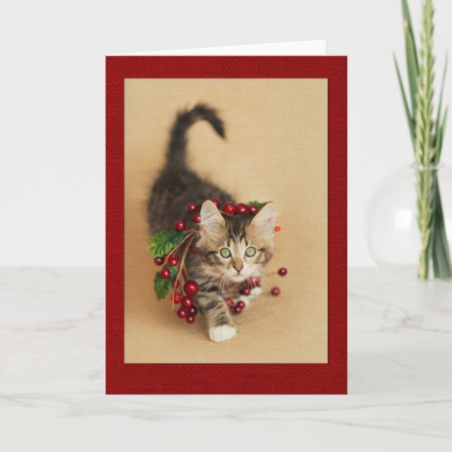 Cranberry Kitten Helgkort (Framsida)