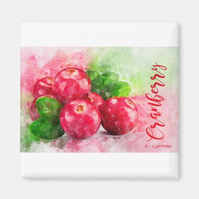 Cranberry Magnet (Framsidan)