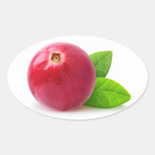 Cranberry Ovalt Klistermärke
