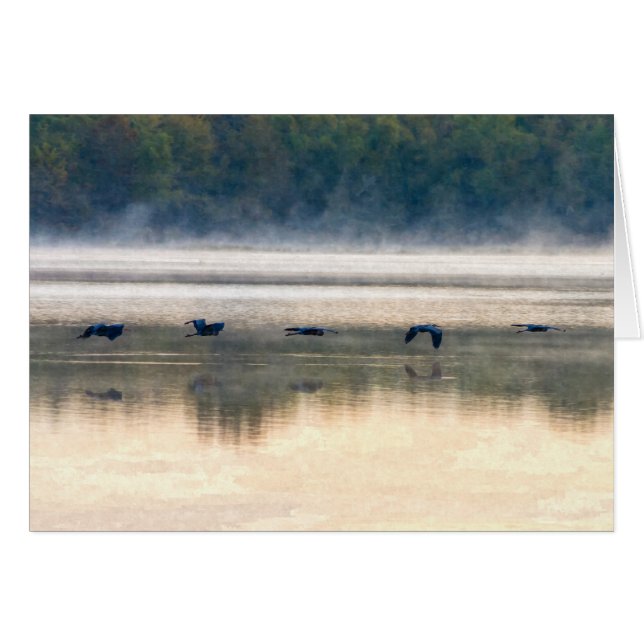 Crane Flight Painterly Card OBS Kort (Framsidan Horizontal)