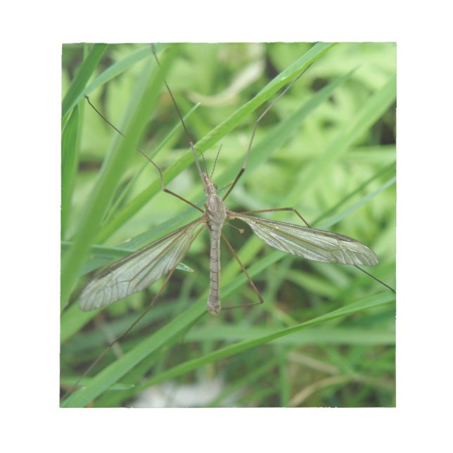 Crane Fly Anteckningsblock (Framsida)