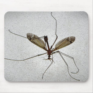 Crane Fly Insekt Mousepad Musmatta
